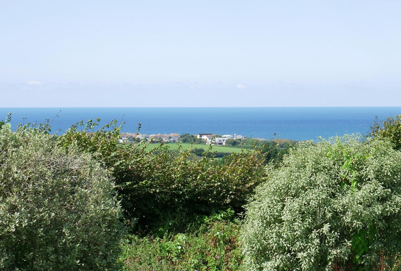 Kennacott Court Holiday Cottages 布德 外观 照片